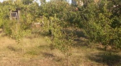 Купить 1 комнатную коттедж/дачу на улице Массив 4 г. Ерзовка рп. Фотография №4