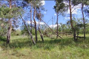 Продам земельный участок, на улице Артезианский, Кировский район, г. Волгоград, Волгоградская обл., Россия, агентство Агентство недвижимости "Партнёр"