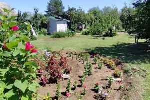 Продам коттедж/дачу 2-х комнатную с общей площадью 30м2, на улице Клубничная, г. Краснослободск, Волгоградская обл., Россия, агентство Агентство недвижимости "Партнёр"