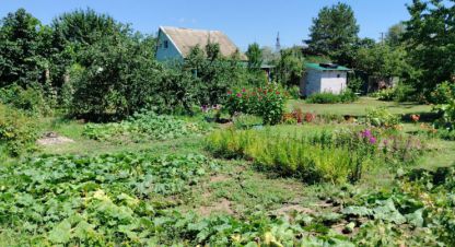 Купить коттедж/дачу 2-х комнатную, 30 кв. м., Россия, г. Краснослободск. Фотография №8