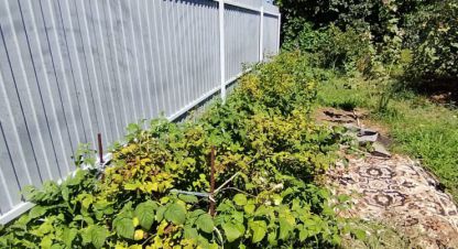 Купить коттедж/дачу в г. Краснослободск. Фотография №3