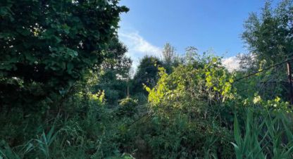 Купить земельный участок. Фотография №8 Купить земельный участок, Россия, г. Волжский. Фотография №8