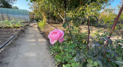 Продаётся 1 комнатная коттедж/Дача в г. Волжский. Фотография №6