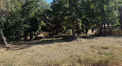 Купить земельный участок на улице Волгоградская г. Волгоград. Фотография №5