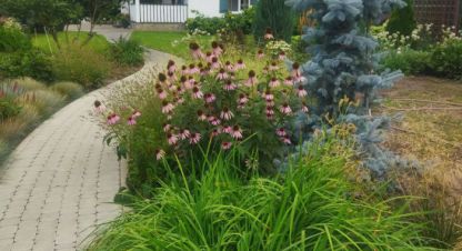 Купить 4-х комнатную дом г. Бурковский х. Фотография №4