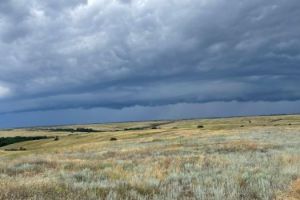 Продам земельный участок, на улице Любви, г. Ище, Волгоградская обл., Россия, агентство Агентство недвижимости "Партнёр"