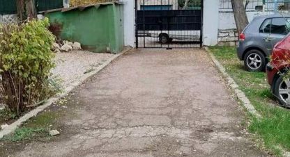 Купить квартиру в г. Севастополь. Фотография №3 Купить квартиру в г. Севастополь. Фотография №3