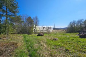 Продам земельный участок, на улице Ихоярвенкюля п, г. Ихоярвенкюля, Карелия респ., Россия, агентство Интернет-партнер Продам земельный участок, на улице Ихоярвенкюля п, г. Ихоярвенкюля, Карелия респ., Россия, агентство Интернет-партнер