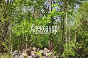 Продам земельный участок, г. Яромаска, Удмуртия респ., Россия, агентство Интернет-партнер Продам земельный участок, г. Яромаска, Удмуртия респ., Россия, агентство Интернет-партнер