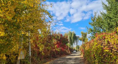 Купить дом 4-х комнатную, 186 кв. м., Россия, г. Волгоградская. Фотография №8