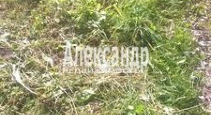 Купить дом 1 комнатную, 33.2 кв. м. Фотография №10 Купить дом 1 комнатную, 33.2 кв. м., Россия, г. Ясно. Фотография №10