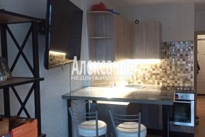 Продам квартиру с общей площадью 23.8м2, 14/16 эт., на улице Ленинградская всеволожский  мурино шоссе в лаврики, Всеволожский район, г. Мурино, Ленинградская обл., Россия, агентство Александр-Недвижимость