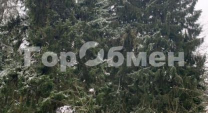 Купить земельный участок в г. Лобня. Фотография №2