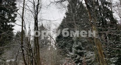 Продаётся земельный участок в г. Лобня. Фотография №6