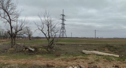 Продам земельный участок, г. Царицын, Волгоградская обл., Россия, агентство Живем Дома. Фотография №1