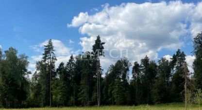 Купить земельный участок в г. Шевелкино. Фотография №2