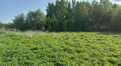 Купить земельный участок. Фотография №8 Купить земельный участок, Россия, г. Долгое ледово. Фотография №8