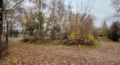 Купить земельный участок в г. Долгое ледово. Фотография №3