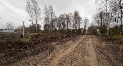 Купить земельный участок в г. Никифорово. Фотография №2