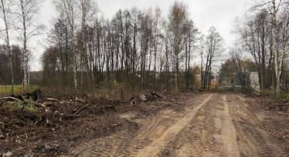 Купить земельный участок в г. Никифорово. Фотография №3