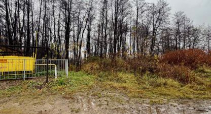 Продам земельный участок, на улице Весенняя, г. Долгое ледово, Московская обл., Россия, агентство ИП Рудешко И.А.. Фотография №1