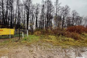 Продам земельный участок, на улице Весенняя, г. Долгое ледово, Московская обл., Россия, агентство ИП Рудешко И.А.