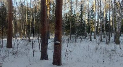 Купить квартиру на улице Морской проспект г. Новосибирск. Фотография №5 Купить квартиру на улице Морской проспект г. Новосибирск. Фотография №5