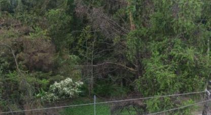 Купить квартиру 3-х комнатную, 75 кв. м. Фотография №10 Купить квартиру 3-х комнатную, 75 кв. м., Россия, г. Новосибирск. Фотография №10