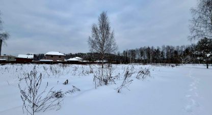 Купить земельный участок г. Балашиха. Фотография №4