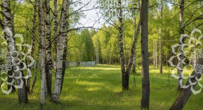 Купить земельный участок в г. Синьково с. Фотография №2