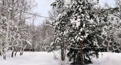 Купить земельный участок г. Синьково с. Фотография №5