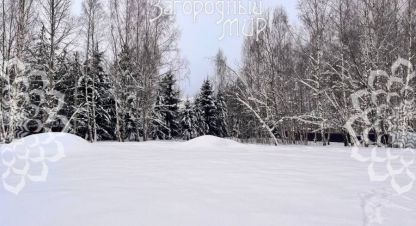 Продаётся земельный участок в г. Синьково с. Фотография №6