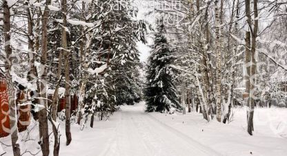 Продаётся земельный участок в г. Синьково с. Фотография №7