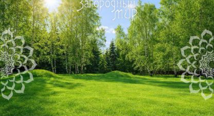 Купить земельный участок в г. Синьково с. Фотография №3