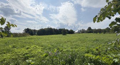 Купить земельный участок. Фотография №1 Продам земельный участок, г. Казариново д, Калужская обл., Россия, агентство Интернет-партнер. Фотография №1