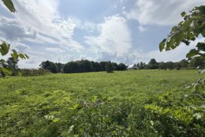 Продам земельный участок, г. Казариново д, Калужская обл., Россия, агентство Интернет-партнер