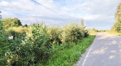 Купить земельный участок г. Денежниково. Фотография №5