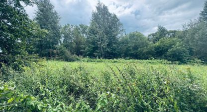 Продам земельный участок, г. Большие горки, Московская обл., Россия, агентство Интернет-партнер. Фотография №1