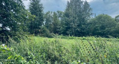 Купить земельный участок г. Большие горки. Фотография №4