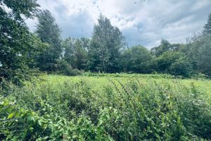 Продам земельный участок, г. Большие горки, Московская обл., Россия, агентство Интернет-партнер