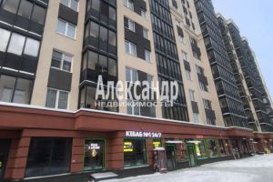 Продам квартиру с общей площадью 24м2, 6/12 эт., на улице Ленинградская всеволожский  мурино шувалова 39 подъезд, Всеволожский район, г. Мурино, Ленинградская обл., Россия, агентство Александр-Недвижимость