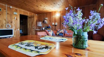 Купить дом 2-х комнатную, 61 кв. м., Россия, г. Чеблоково. Фотография №8