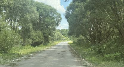 Купить земельный участок в г. Казариново д. Фотография №3 Купить земельный участок в г. Казариново д. Фотография №3