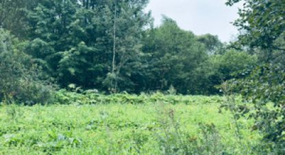 Купить земельный участок в г. Большие горки. Фотография №2