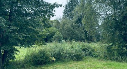 Купить земельный участок в г. Большие горки. Фотография №3