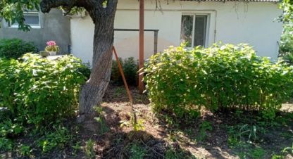 Купить дом 3-х комнатную, 60 кв. м., Россия, г. Орлянка. Фотография №9