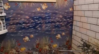 Продаётся 3-х комнатная дом в г. Орлянка. Фотография №6