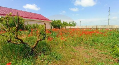 Купить земельный участок на улице Северная г. Крымское. Фотография №5