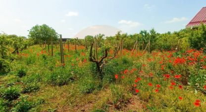 Купить земельный участок в г. Крымское. Фотография №2