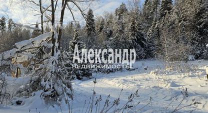 Купить квартиру на улице Карелия лахденпохья санаторная г. Лахденпохья. Фотография №5